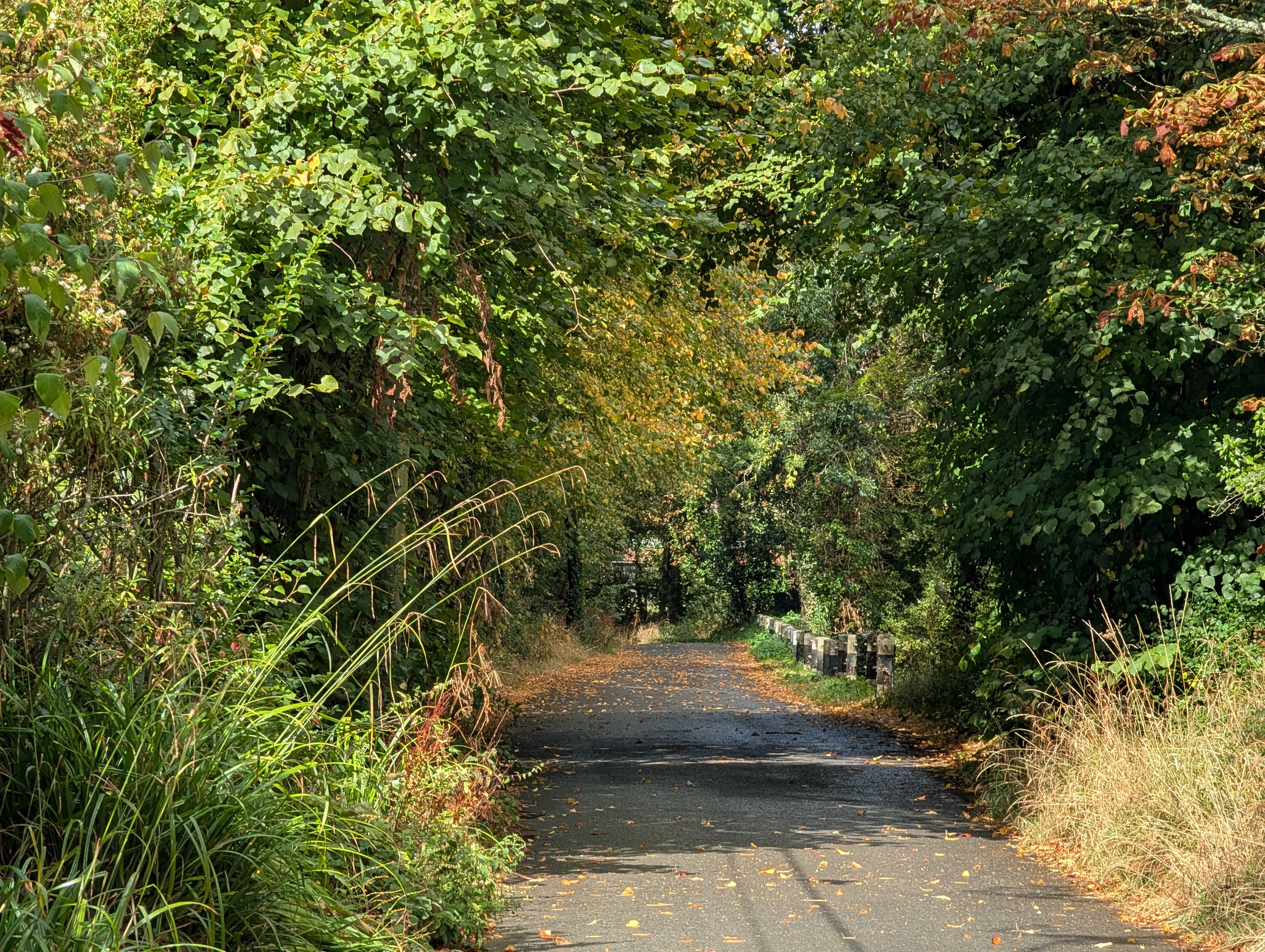 Étape 2 — photo 2