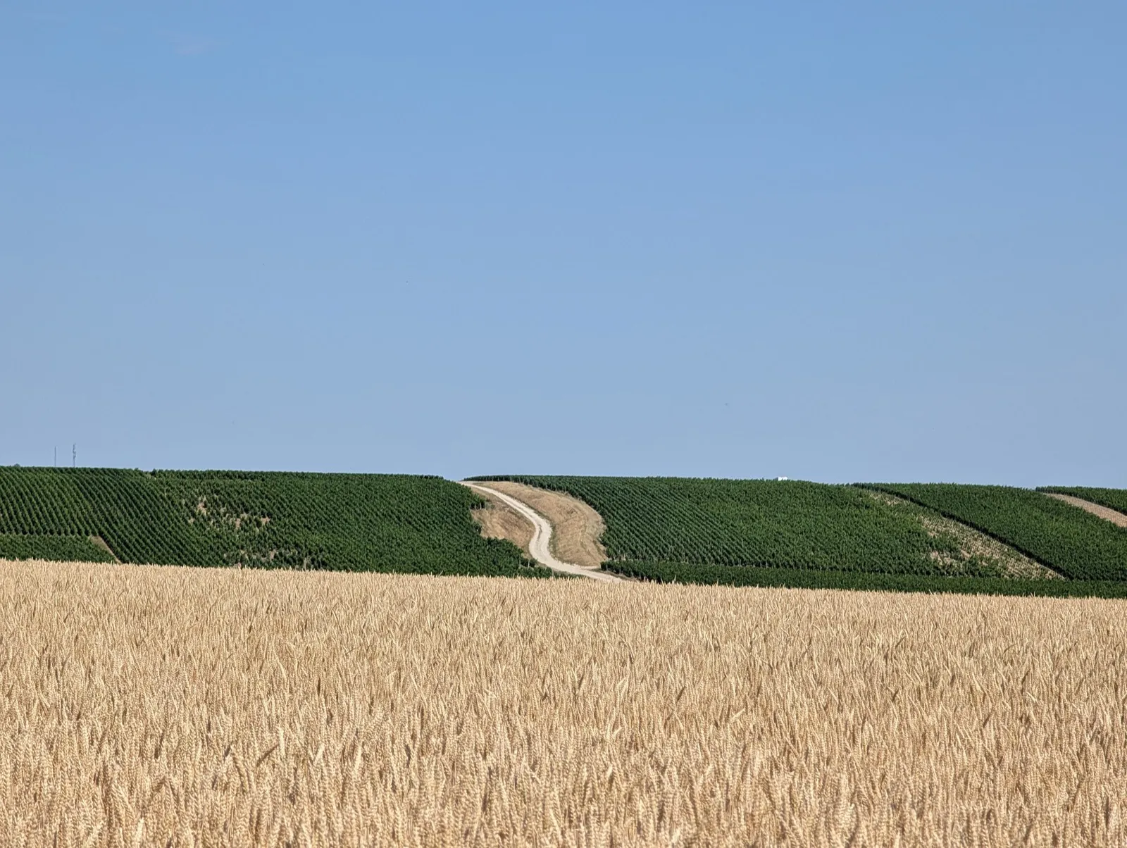 Étape 1 — photo 2
