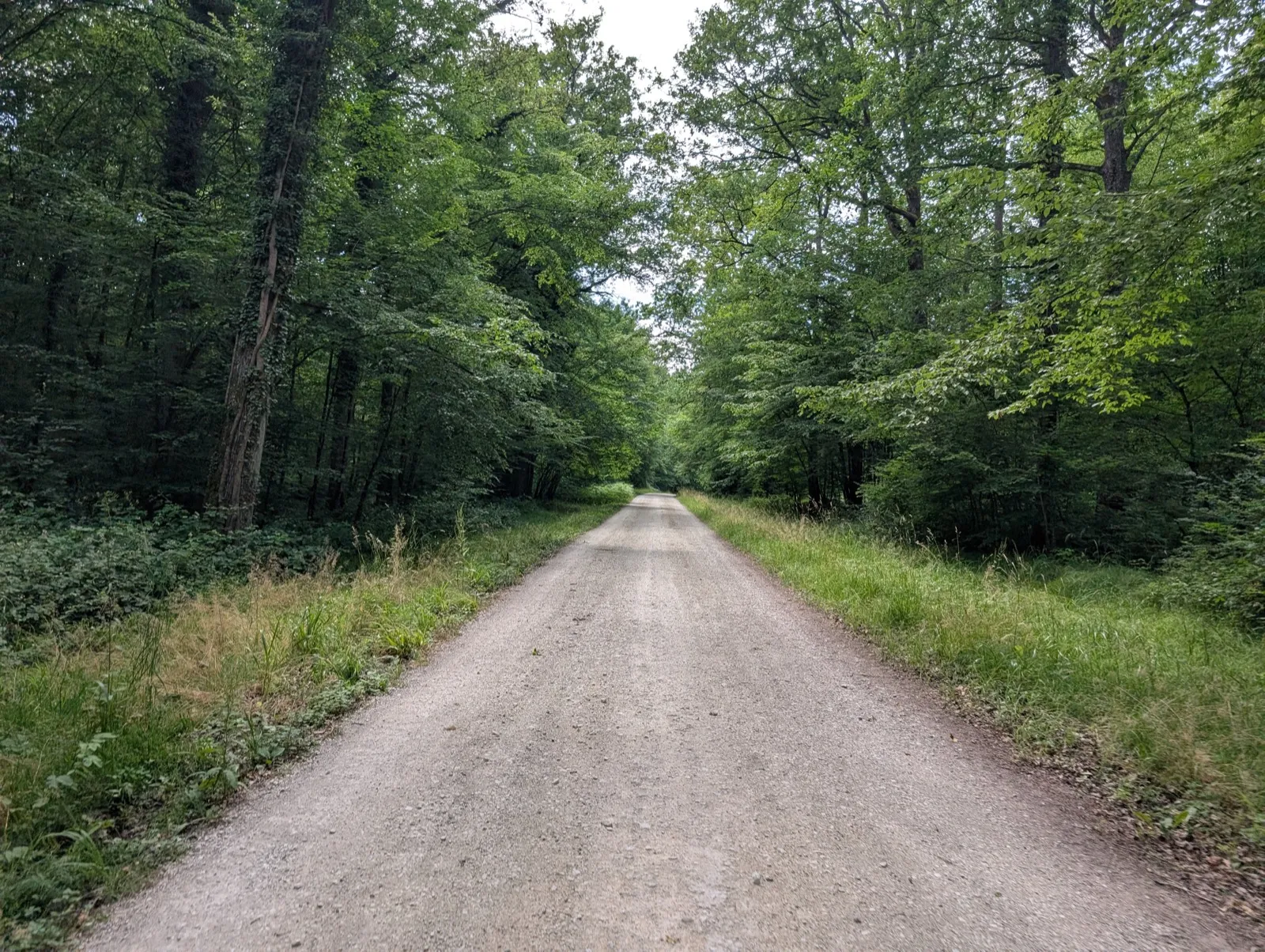 Étape 1 — photo 3