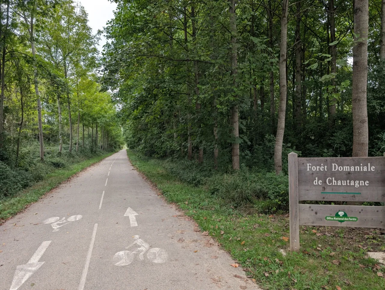 Étape 3 — photo 6