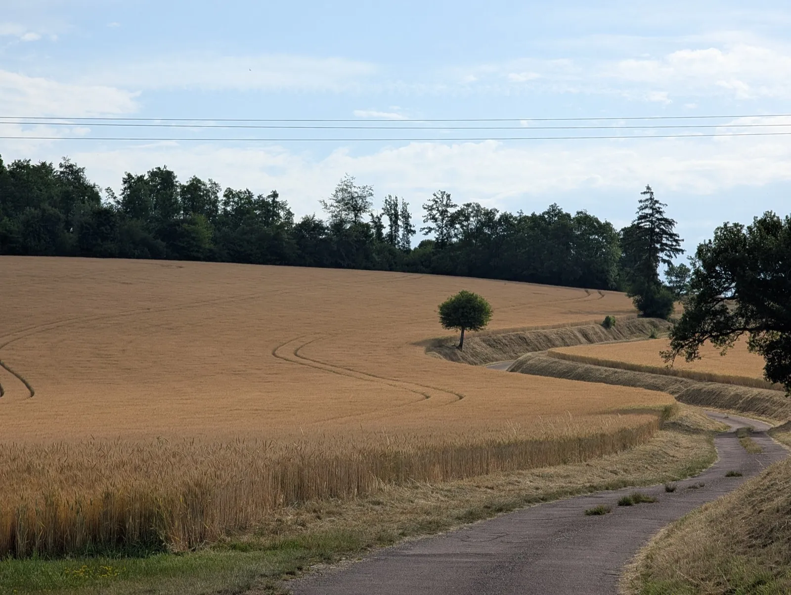 Étape 3 — photo 1