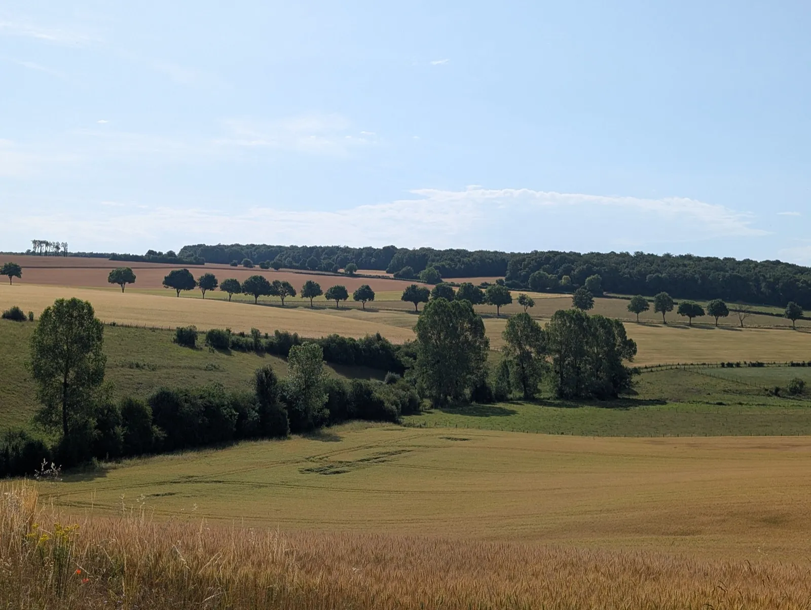 Étape 3 — photo 2