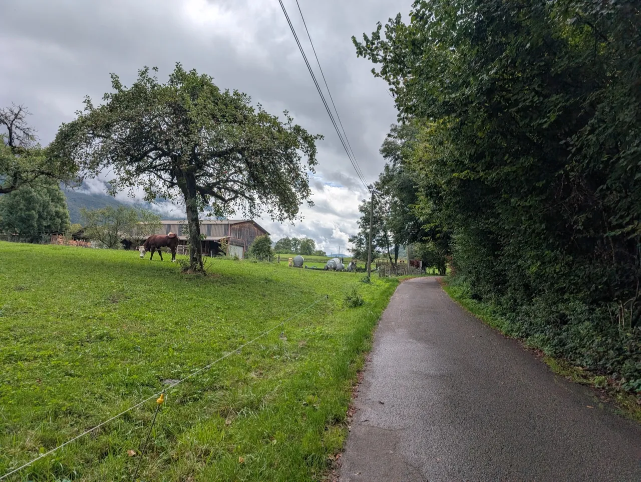 Étape 4 — photo 3