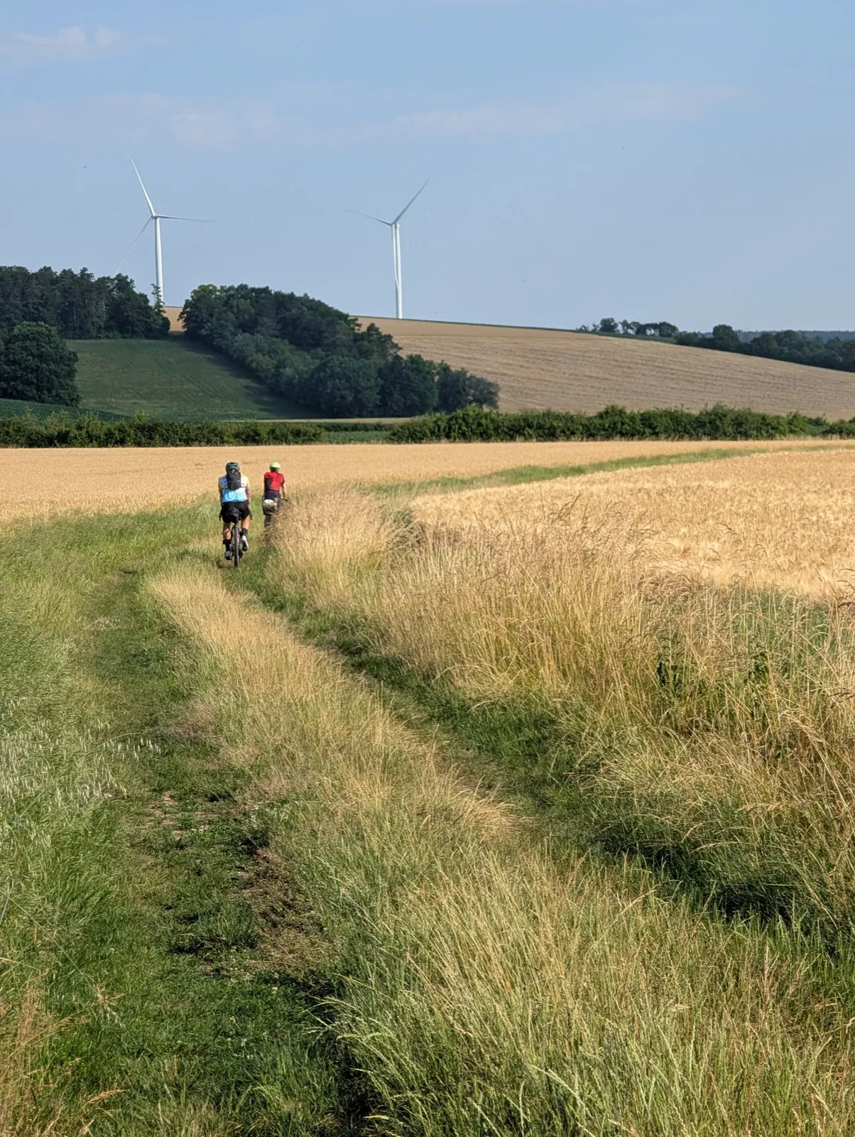 Gravel des forêts — photo 1