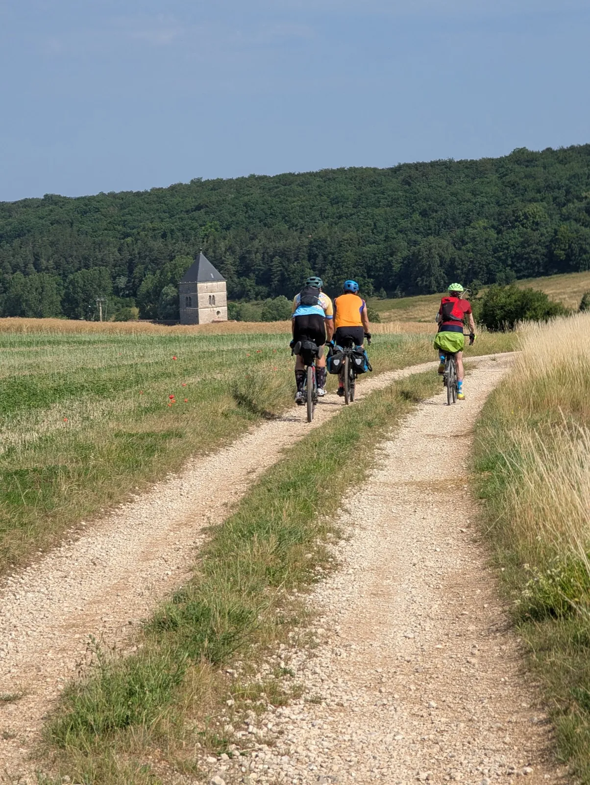 Gravel des forêts — photo 4