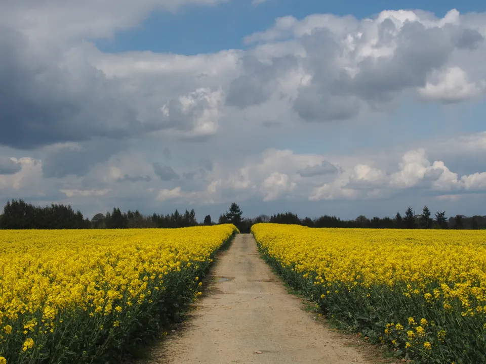 La Mayenne à vélo, au fil de l'eau